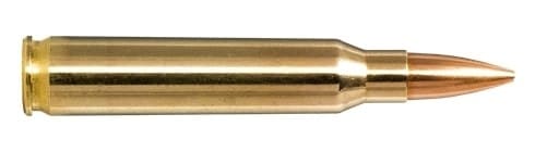 NORMA 223 Rem 69gr Golden Target 20 Pack
