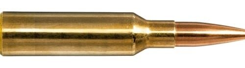NORMA 6.5 CM 143gr Golden Target (20 PACK)