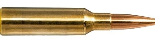NORMA 6.5 CM 143gr Golden Target 20 Pack