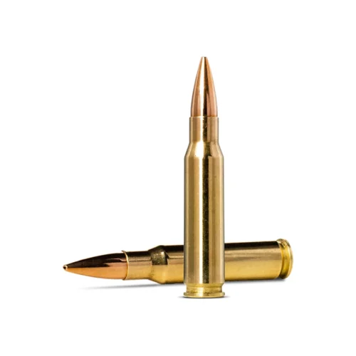 NORMA 308 Win 155gr Golden Target 20 Pack