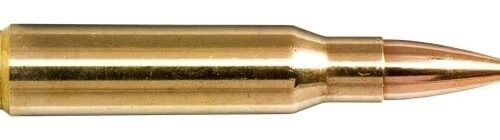 NORMA 308 Win 155gr Golden Target 20 Pack