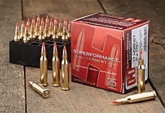HORNADY 17 HORNET 20GR V-MAX (25 ROUNDS)