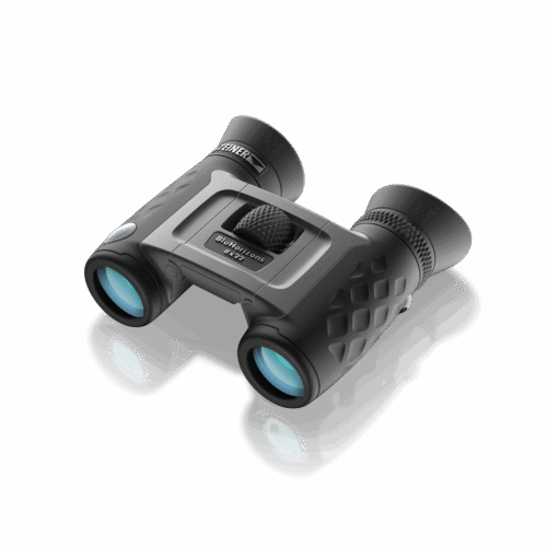 STEINER BluHorizons 8×22