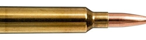 NORMA 6.5-284 143gr Bondstrike Extreme 143gr 20 Pack