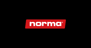 NORMA 6.5 CM 124gr Range and Training FMJ 50 Pack