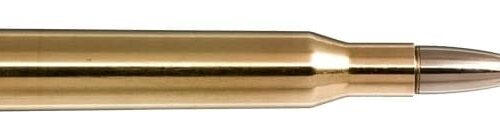 NORMA 270 Win 96gr Evostrike 20 Pack