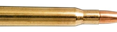 NORMA 30-06 SPRG 165gr Oryx 20 Pack
