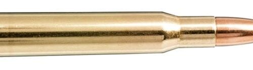 NORMA 30-06 SPRG 180gr Oryx 20 Pack