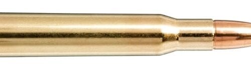 NORMA 30-06 SPRG 180gr Plastic Point 20 Pack