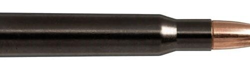 NORMA 30-06 SPRG 180gr Oryx Silencer 20 Pack