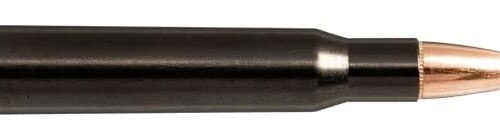 NORMA 30-06 SPRG 170gr Tipstrike Silencer 170gr 20 Pack