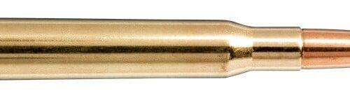 NORMA 30-06 SPRG 180gr Whitetail SP 20 Pack