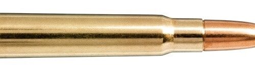 NORMA 8×57 JS 196gr Whitetail SP 20 Pack