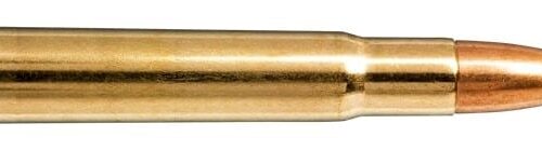 NORMA 35 Whelen 250gr Oryx 20 Pack