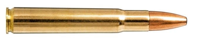NORMA 35 Whelen 250gr Oryx 20 Pack