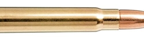 NORMA 9.3×62 285gr Oryx 20 Pack