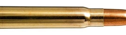 NORMA 9.3×62 285gr Plastic Point 20 Pack