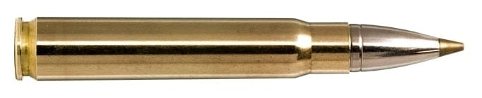 NORMA 9.3×62 184gr Evostrike 20 Pack