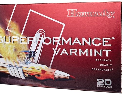 Hornady 22-250 Rem 35 grain NTX Superformance Varmint Ammo 20 rd