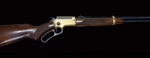 Chiappa LA322 Deluxe TD.22LR – 18.5 Inch Golden Deluxe