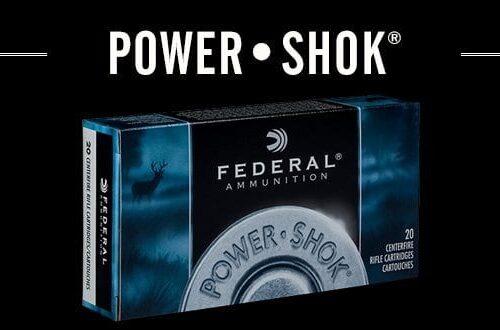 FEDERAL 45-70 GOVT 300GR FN POWER-SHOK 20PK