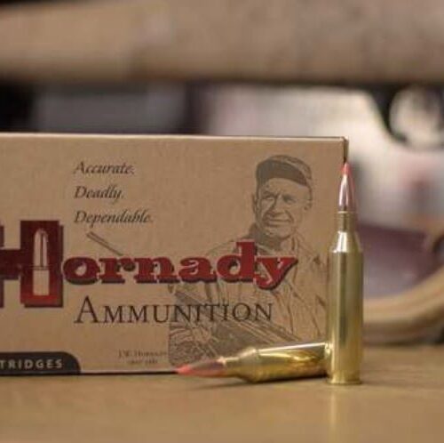 HORNADY CUSTOM 243 WIN 87GR V-MAX (20 ROUNDS)