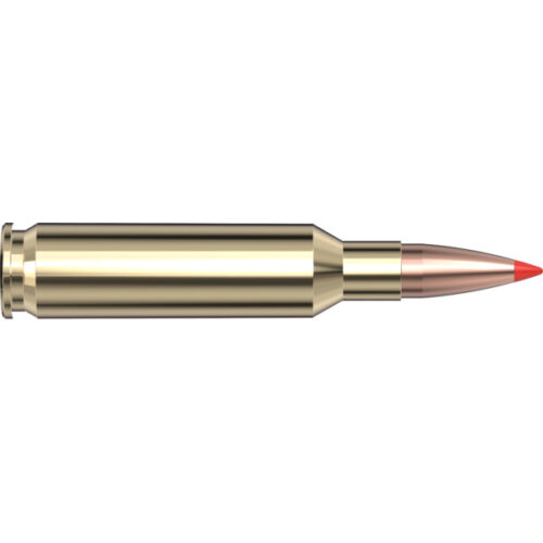 HORNADY 6.5 CREEDMOOR 95 GR V-MAX (100 ROUNDS)