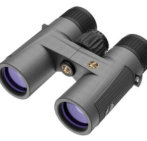 LEUPOLD BX-4 PRO GUIDE HD 10X32 ROOF SHADOW GREY