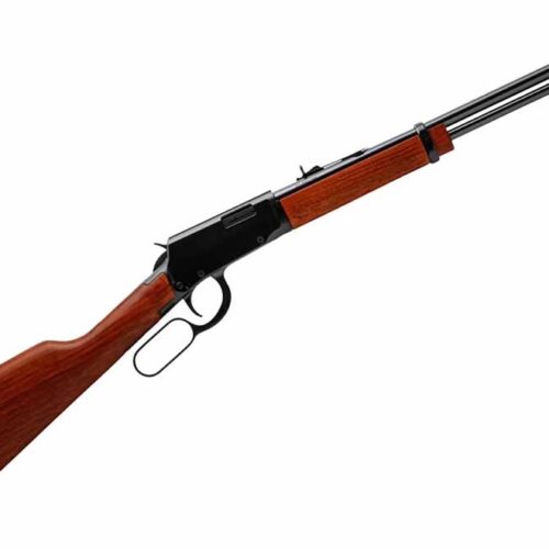 Rossi Rio Bravo Lever Action .22LR 18 Inch Wood Stock