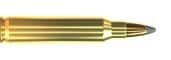 SELLIER AND BELLOT 223 Rem 55gr SP 20 Pack
