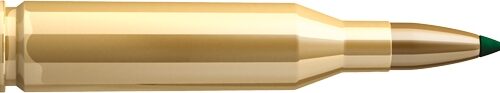 Sellier and Bellot 243 Win 95 grain PTS (Hornady SST) Ammo 20 rd