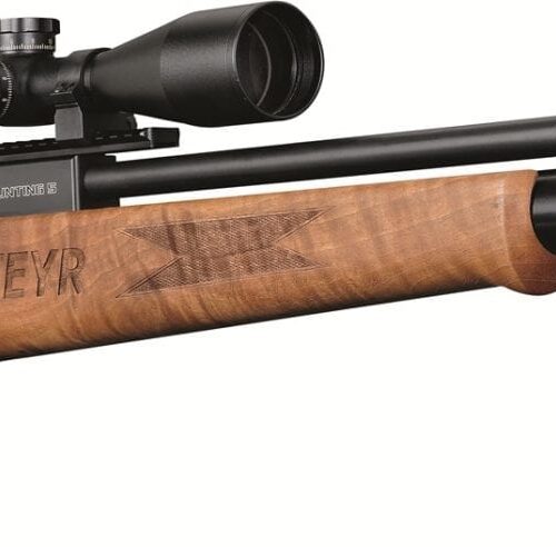 STEYR HUNTING 5 AIR RIFLE .22 CAL SEMI AUTO