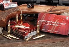 HORNADY 243 WIN 58GR V-MAX SPF (20 ROUNDS)