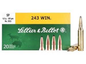 243 WIN 100GR SP 20 PACK SELLIER&BELLOT
